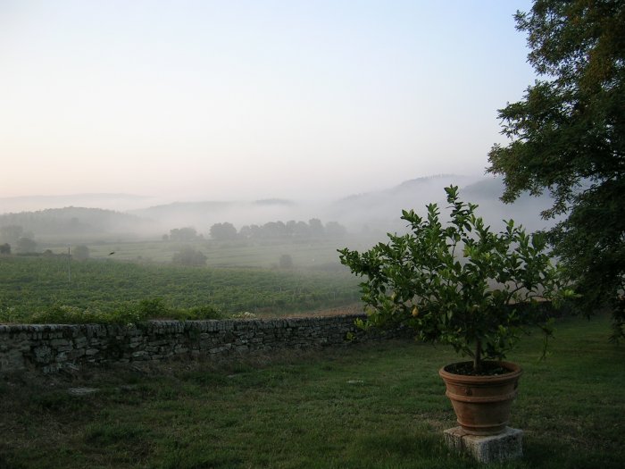 Siena Bonvicini | 2 tot 24 personen