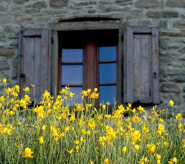 Valle del Tartufo | 2 tot 18 personen