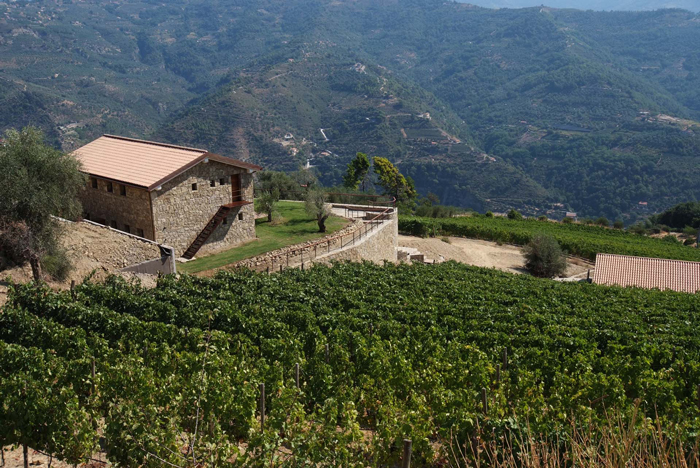 Dolceacqua | 12 + 4  personen