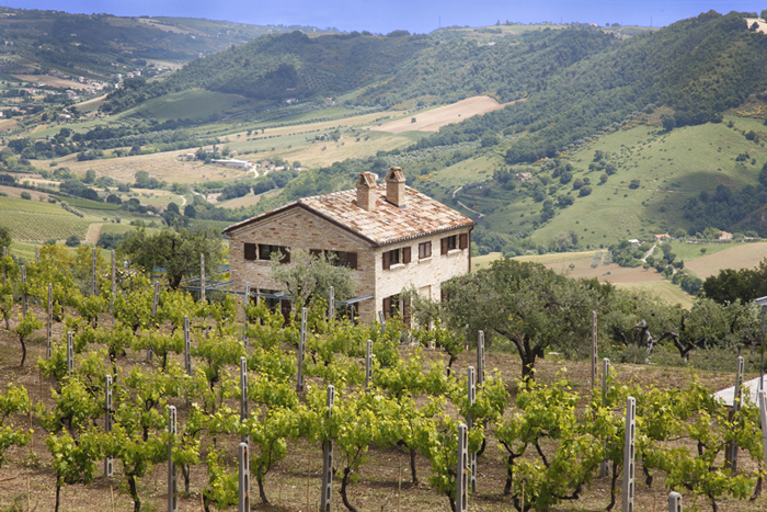 Il Piceno Villa  | 11 personen