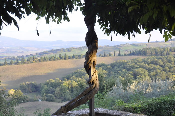 Val d'Orcia - Borgo | 2 tot 65 personen