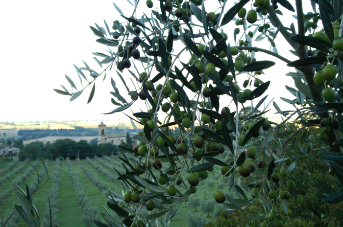 Spoleto Casa Pietra | 4 personen