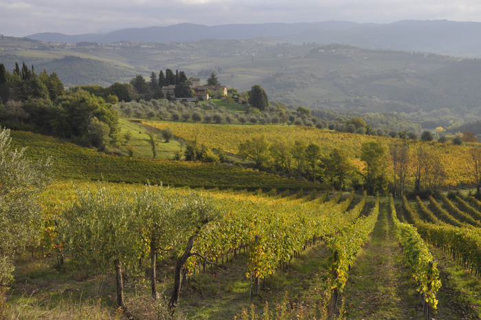 Chianti Classico - Panzano Borgo | 2 tot 28 personen