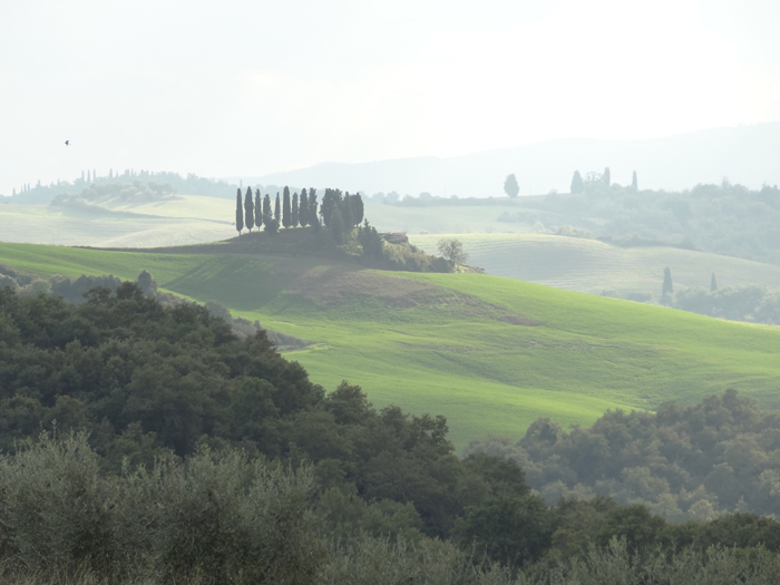 Toscane in optima forma